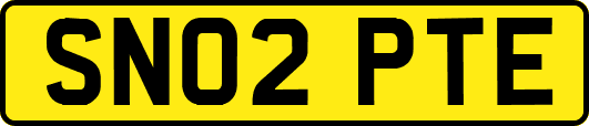 SN02PTE