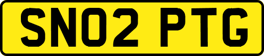 SN02PTG