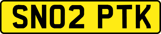 SN02PTK