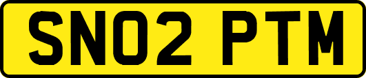 SN02PTM