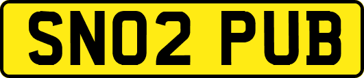 SN02PUB