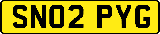 SN02PYG