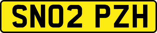 SN02PZH