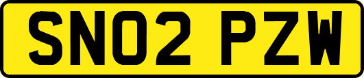 SN02PZW
