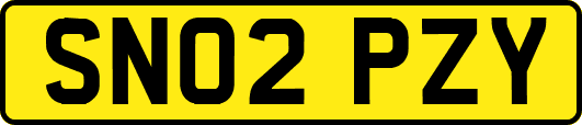 SN02PZY