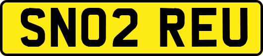 SN02REU