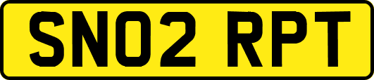 SN02RPT