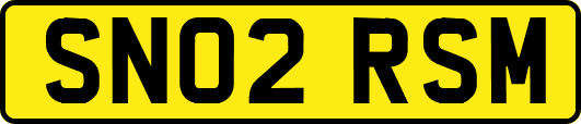 SN02RSM