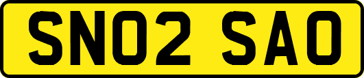 SN02SAO