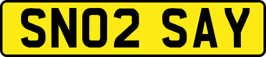 SN02SAY