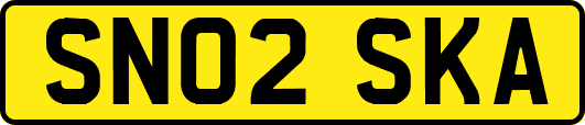 SN02SKA
