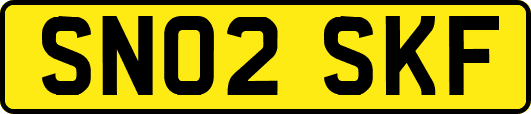 SN02SKF