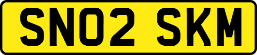 SN02SKM