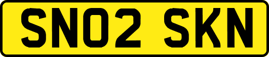 SN02SKN