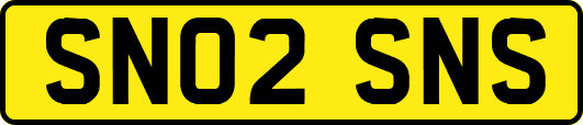 SN02SNS