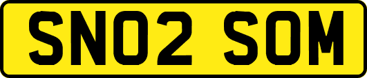 SN02SOM