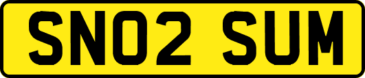 SN02SUM