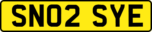 SN02SYE