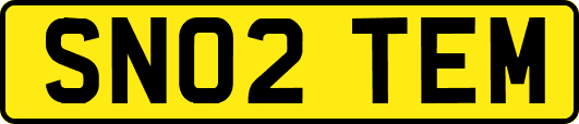 SN02TEM
