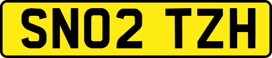 SN02TZH