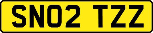 SN02TZZ