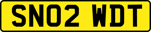 SN02WDT