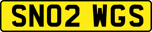 SN02WGS