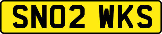 SN02WKS