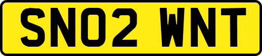 SN02WNT