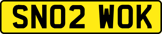 SN02WOK