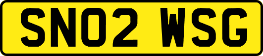 SN02WSG