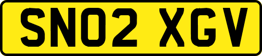 SN02XGV