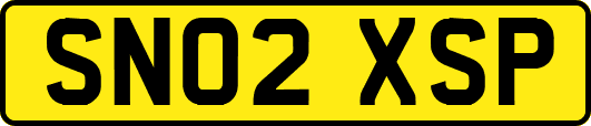 SN02XSP