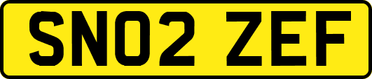 SN02ZEF