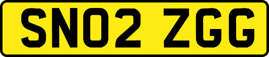 SN02ZGG