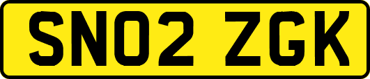 SN02ZGK