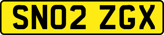SN02ZGX