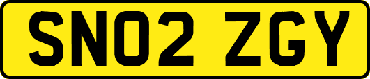SN02ZGY