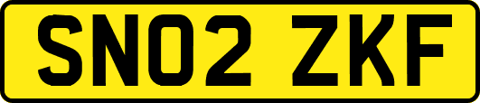 SN02ZKF
