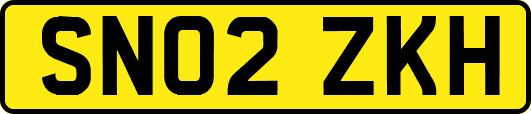 SN02ZKH
