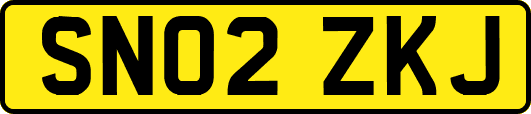 SN02ZKJ