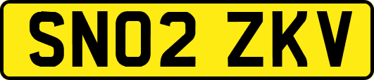 SN02ZKV