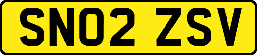 SN02ZSV