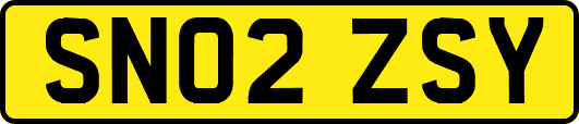 SN02ZSY