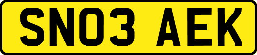 SN03AEK
