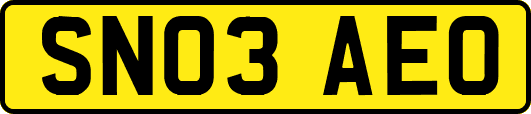 SN03AEO