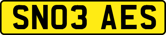 SN03AES