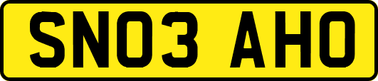 SN03AHO