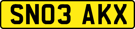 SN03AKX