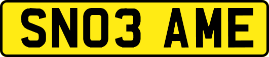 SN03AME